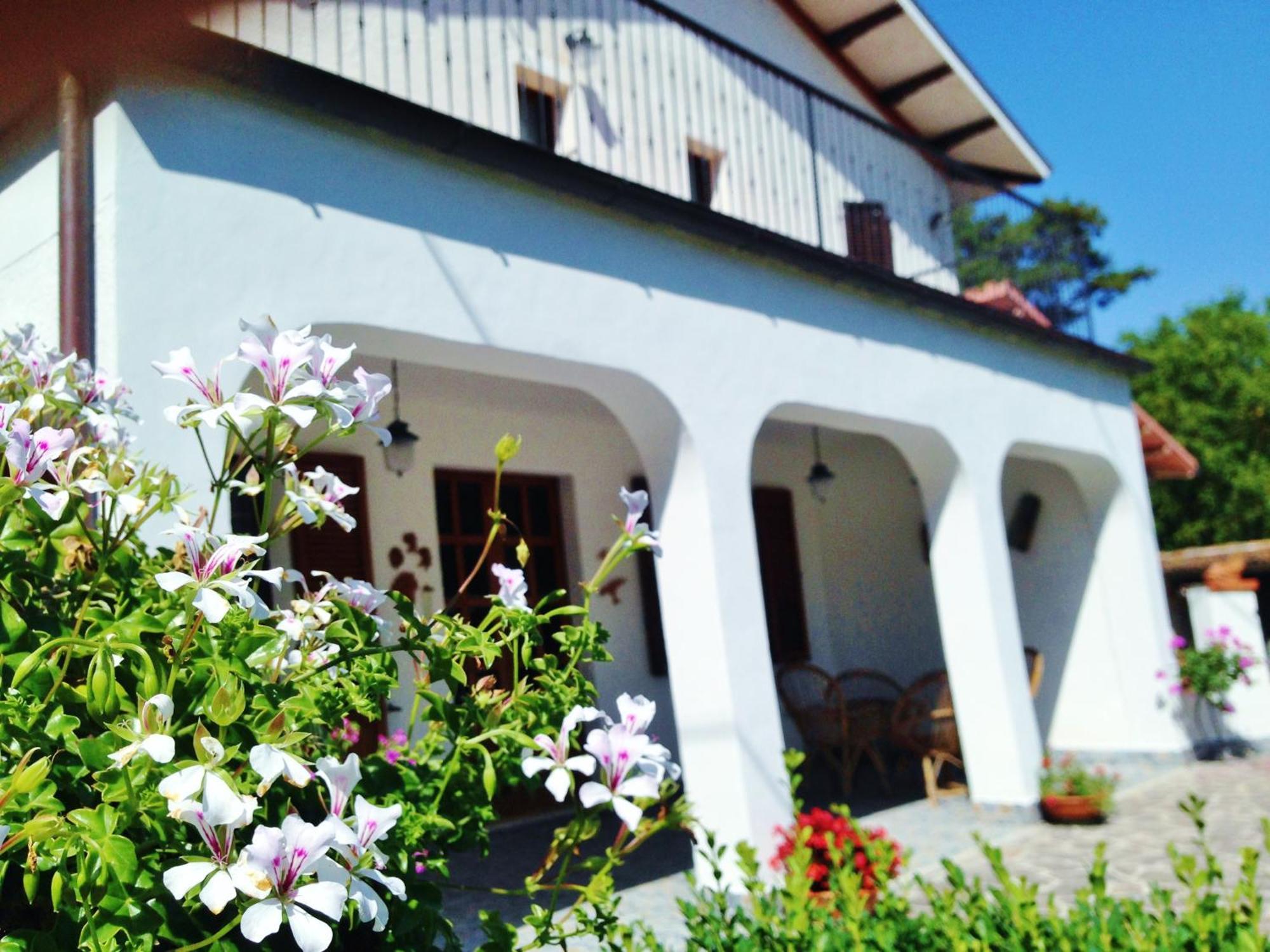 B&B Villa Incrocca Cerreto dʼEsi Exterior foto